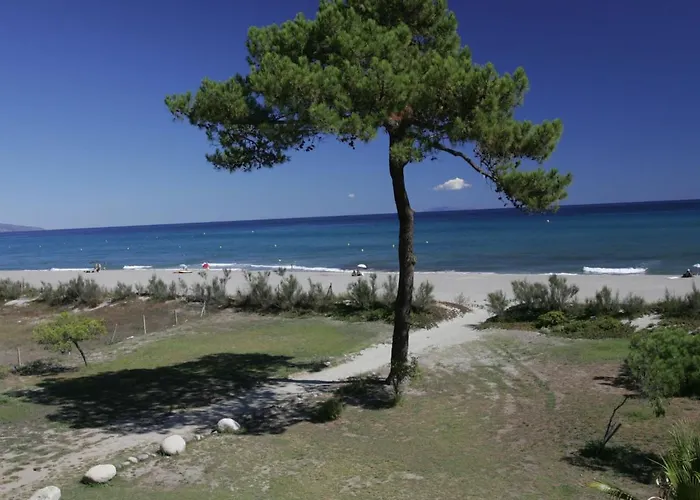 Type B By Interhome Borgo (Corsica)